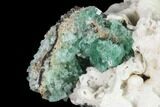 Aragonite Encrusted Fluorite Crystal Cluster - Rogerley Mine #143072-2